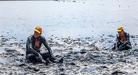 
                                                 Відпочинок та оздоровлення